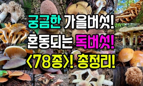 身上肿应该挂什么科室检查-身上肿还痒怎么回事专区_身上肿还痒怎么回事专区_身上肿应该挂什么科室网